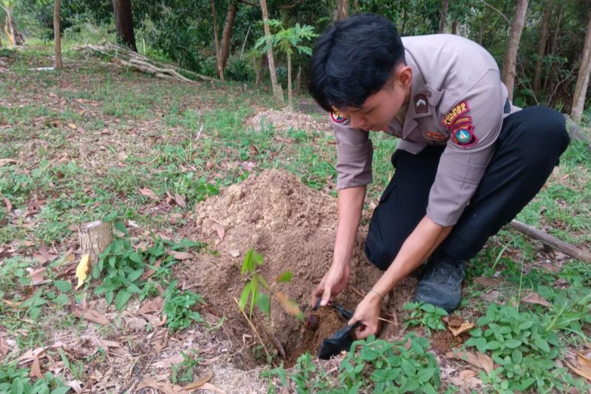 Polres Lingga lestarikan lingkungan tanam 250 pohon Jengkol