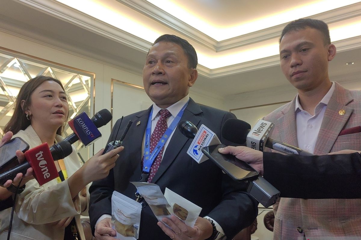 PUIC to produce Jakarta Declaration: DPR