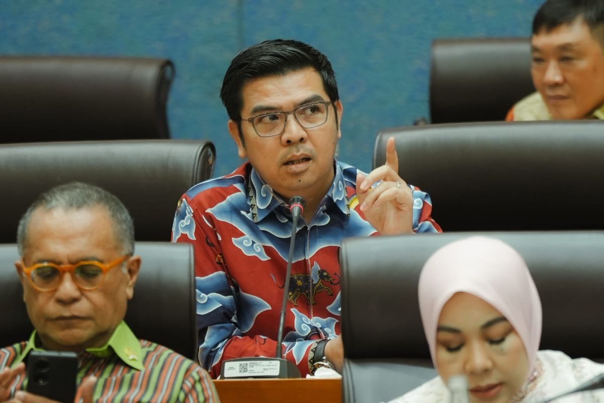 Anggota DPR ingatkan pemerintah status Geopark Toba terancam dicabut