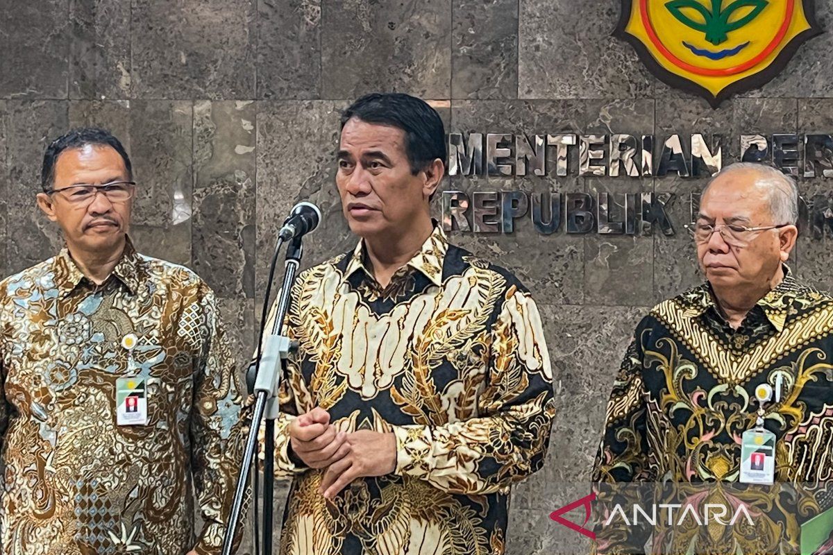 Indonesian farmers help drive down global rice prices: minister