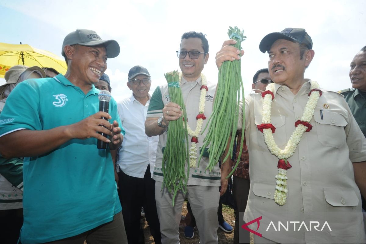 Swasembada Pangan prioritas pembangunan nasional