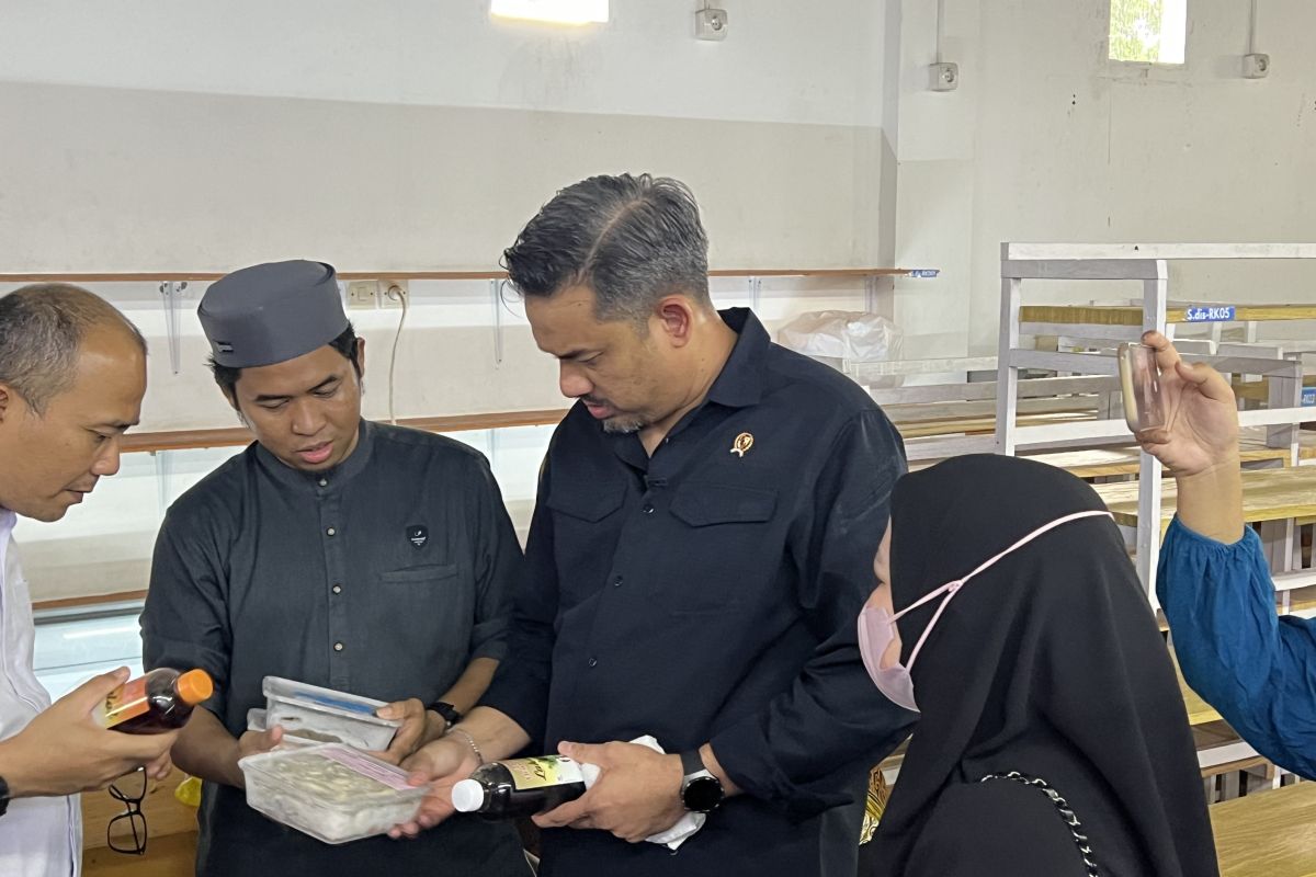 Menteri UMKM: UU Perlindungan Konsumen tidak cocok untuk usaha mikro