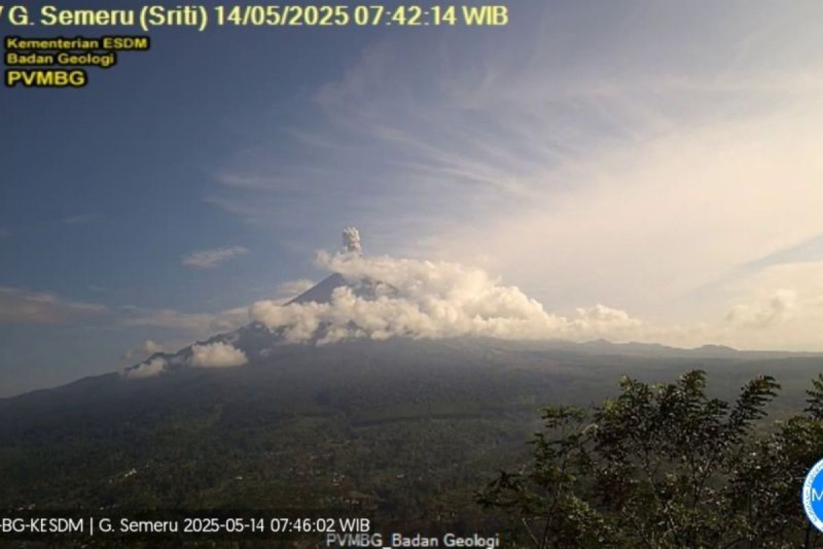Gunung Semeru kembali erupsi Rabu pagi, tinggi letusan capai 1.000 meter