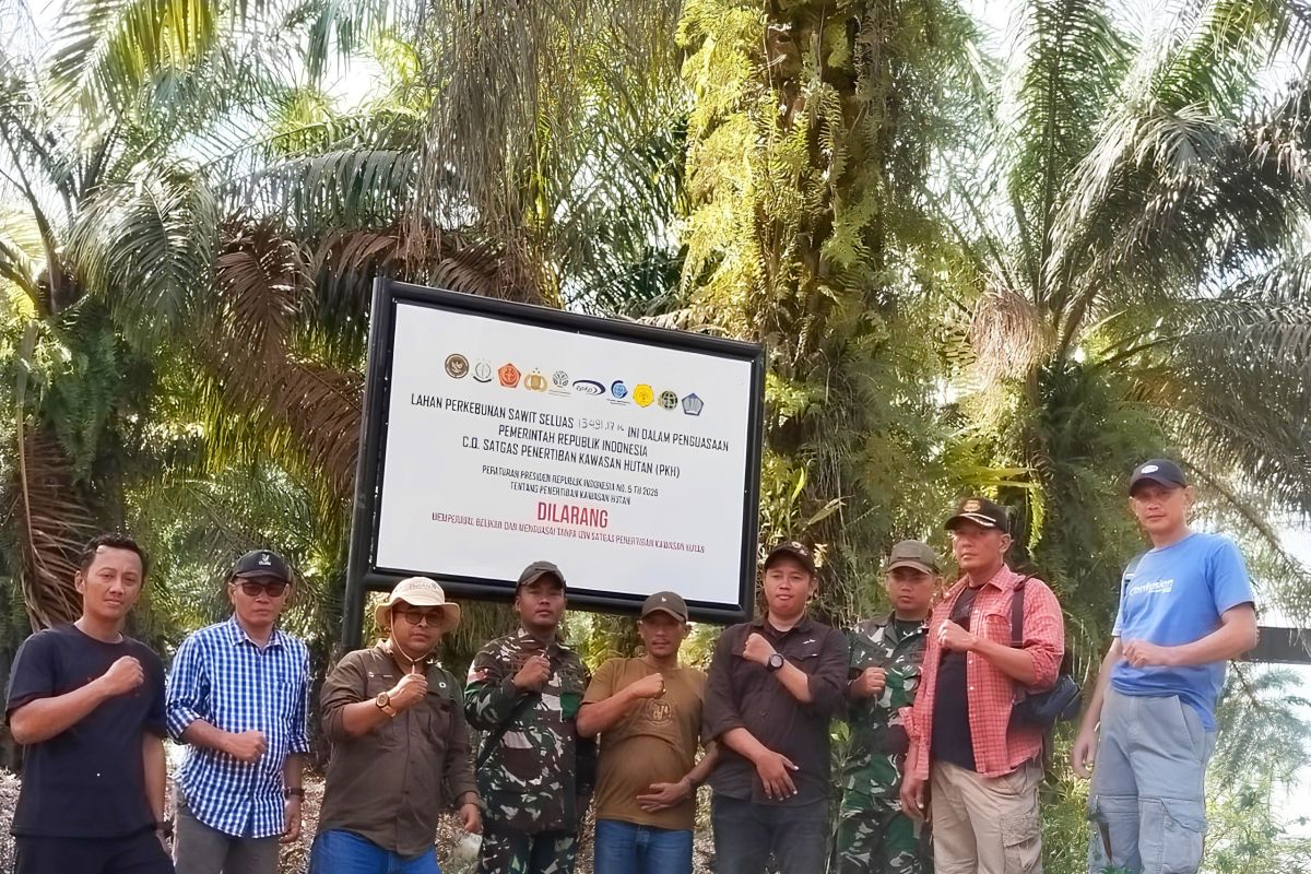 Satgas Segel 13.000 Ha Areal di Kampar