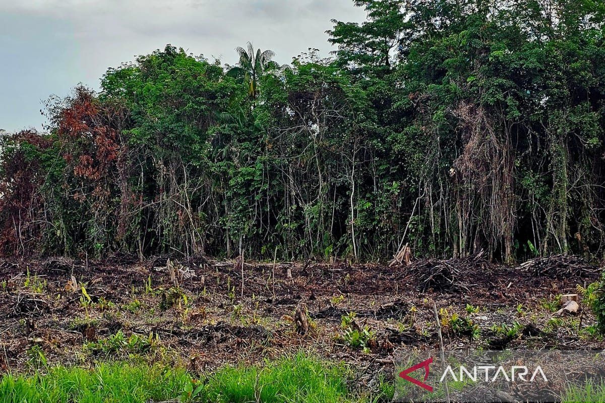 Pemkab Natuna matangkan lahan 1,9 hektare program penataan kawasan kumuh