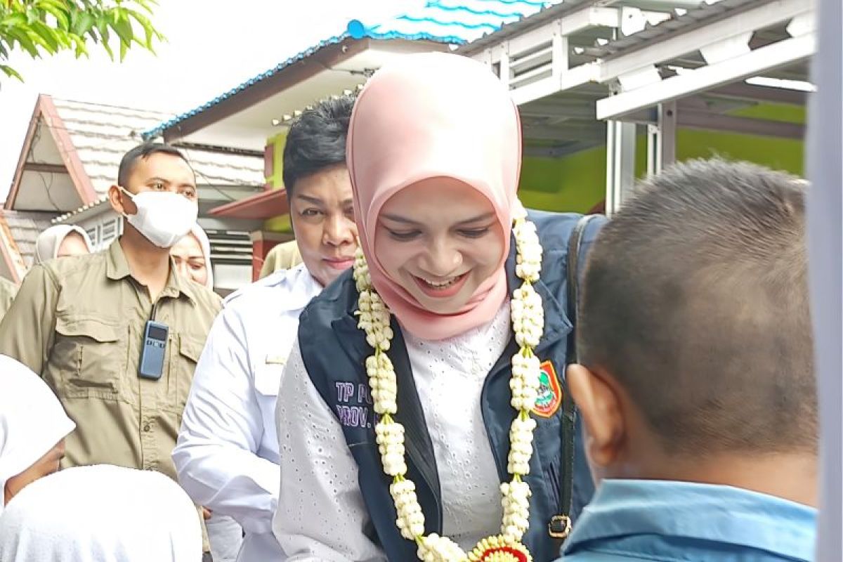 TP Posyandu Kalsel Gencar Perkuat Kolaborasi, Sosialisasikan Enam Standar Pelayanan Minimal
