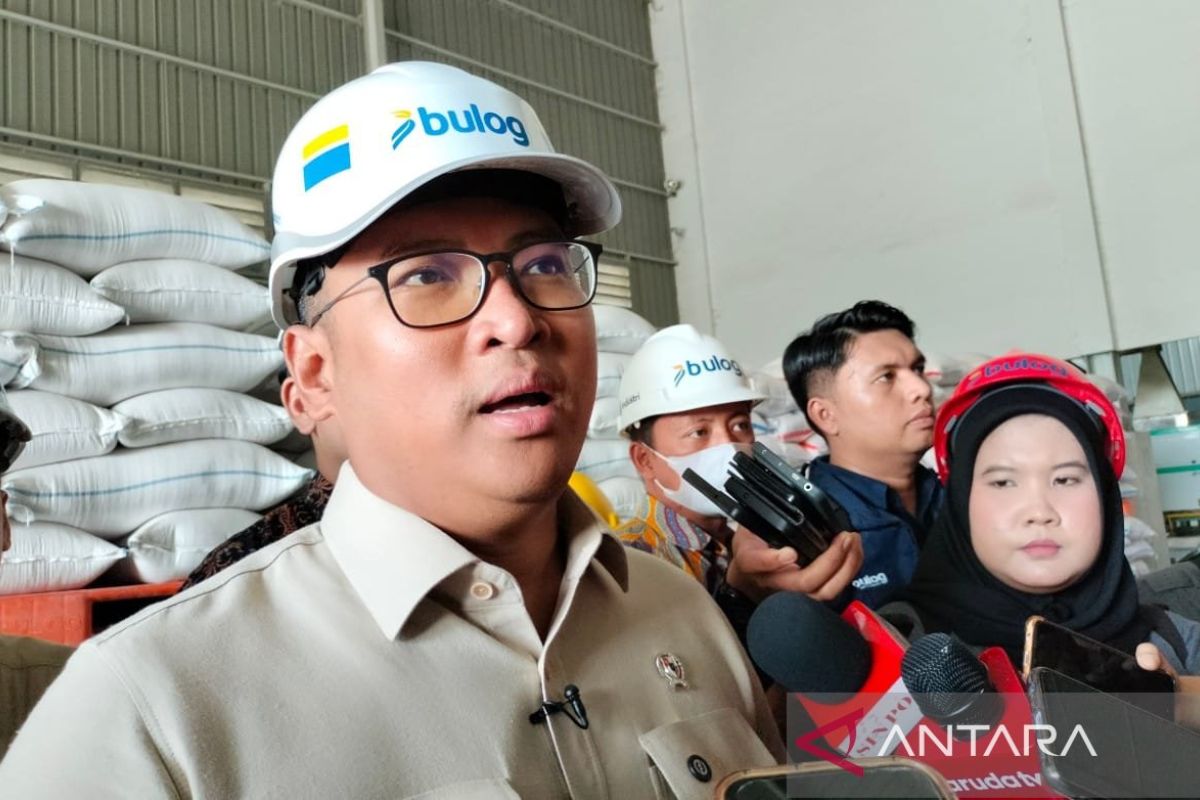 Wamentan tegaskan Bulog dititikberatkan untuk beli gabah petani