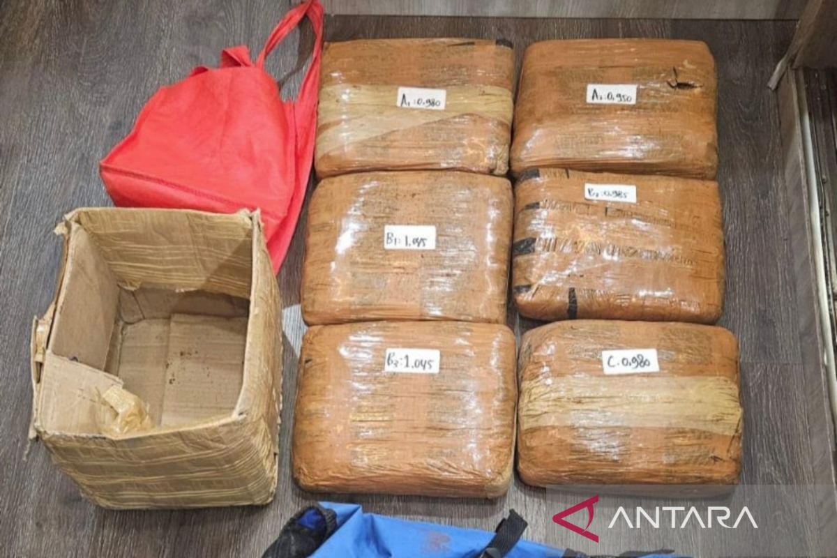 Polda Metro Jaya gagalkan peredaran ganja seberat 6 kg di Jaktim