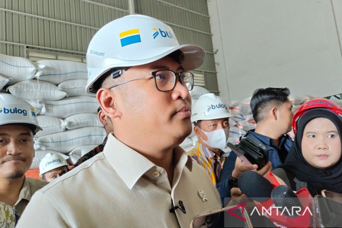 Wamentan: Harga beras dunia turun karena Indonesia tidak impor beras