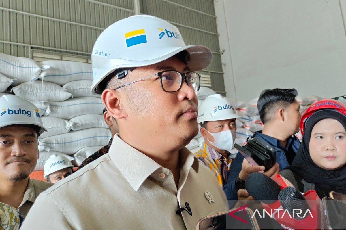 Wamentan: Harga beras dunia turun  karena Indonesia tidak impor beras