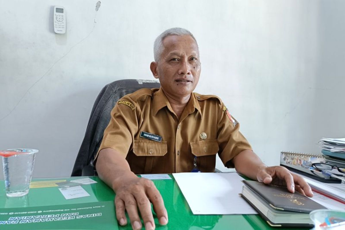 DKPP Bojonegoro catat luas lahan tanaman tembakau meningkat pada 2024