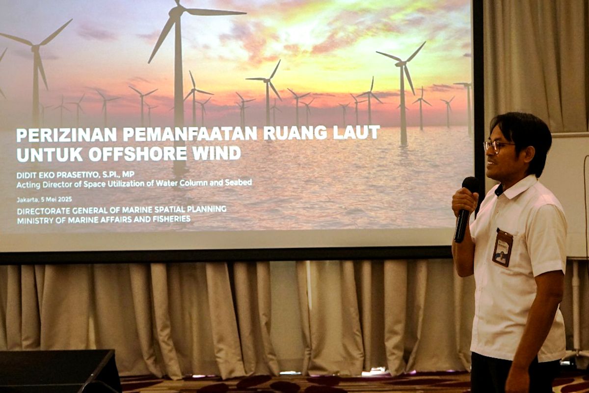 Indonesia, Denmark discuss tapping offshore wind for energy