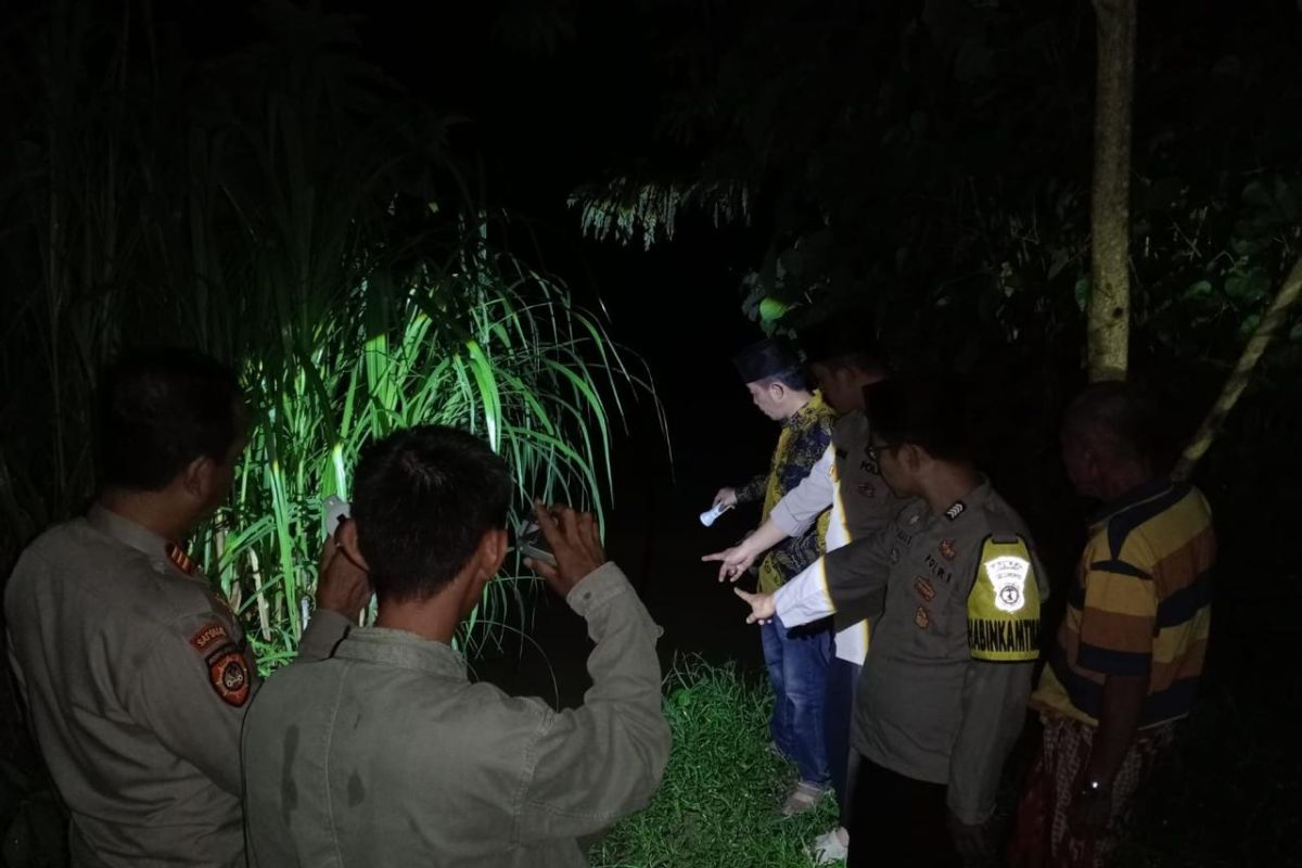 Warga Tanggamus luka, diserang buaya saat mandi di Sungai Way Semaka