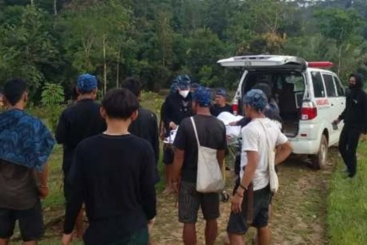 Dinas Kesehatan Lebak mendata 247 warga korban gigitan ular berbisa