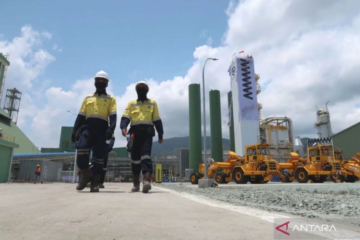 HPE konsentrat tembaga kembali naik karena tingginya permintaan