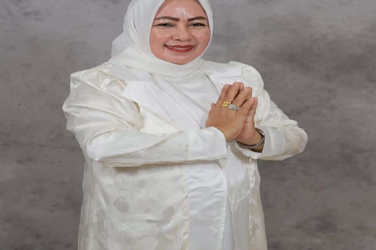 Anggota DPRD Tanah Bumbu tinjau infrastruktur di Satui
