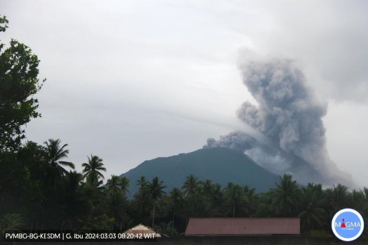 Gunung Ibu alami lima kali erupsi berturut-turut sepanjang Jumat
