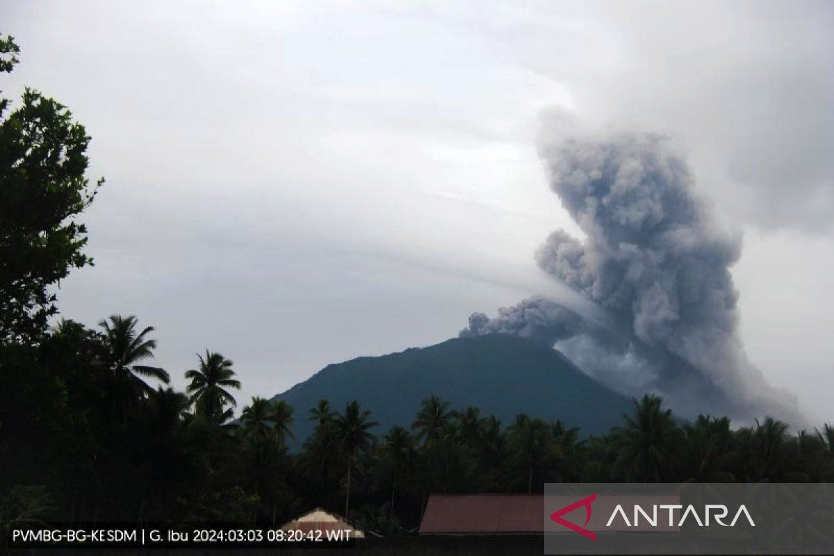 Nine Mount Ibu eruptions recorded within half day