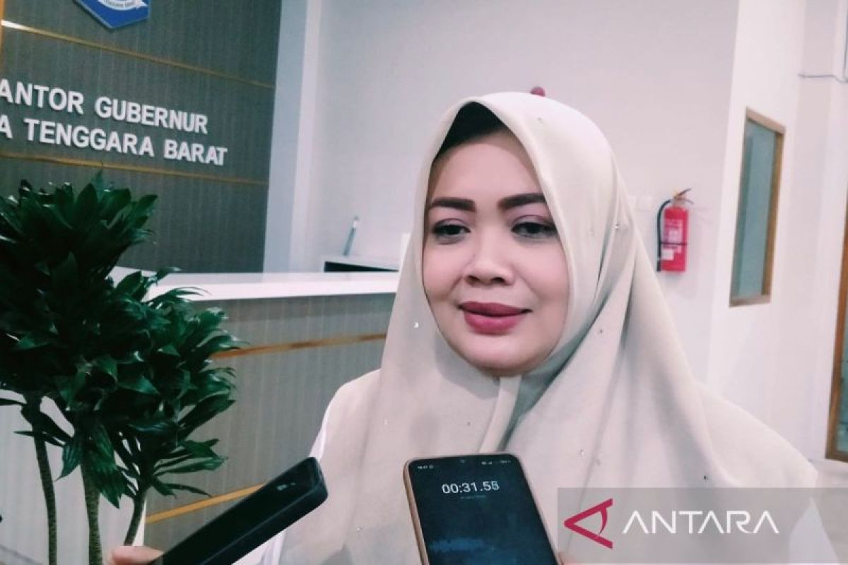 Soal pembentukan Provinsi Pulau Sumbawa, begini tanggapan Wagub NTB