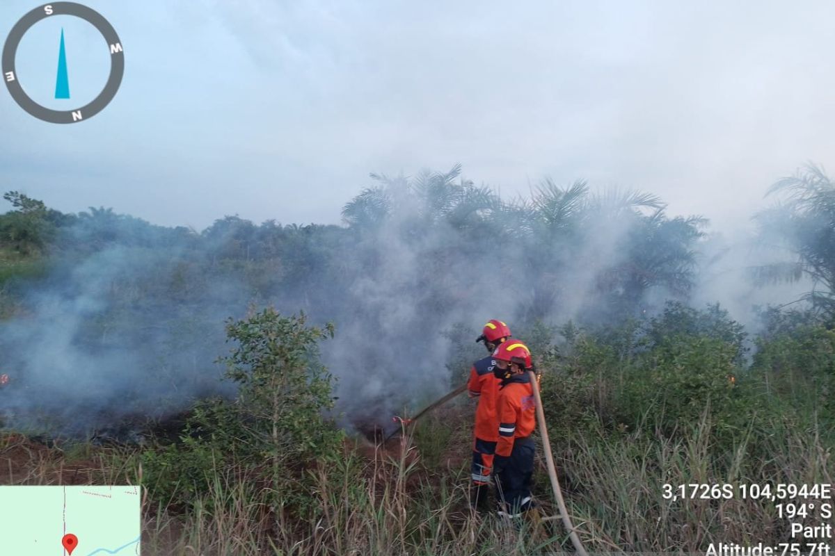 Api karhutla di Sumsel dan Kalteng berhasil dipadamkan