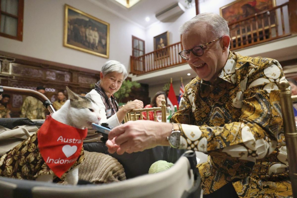 PM Albanese gifts scarf collar to Prabowo's cat