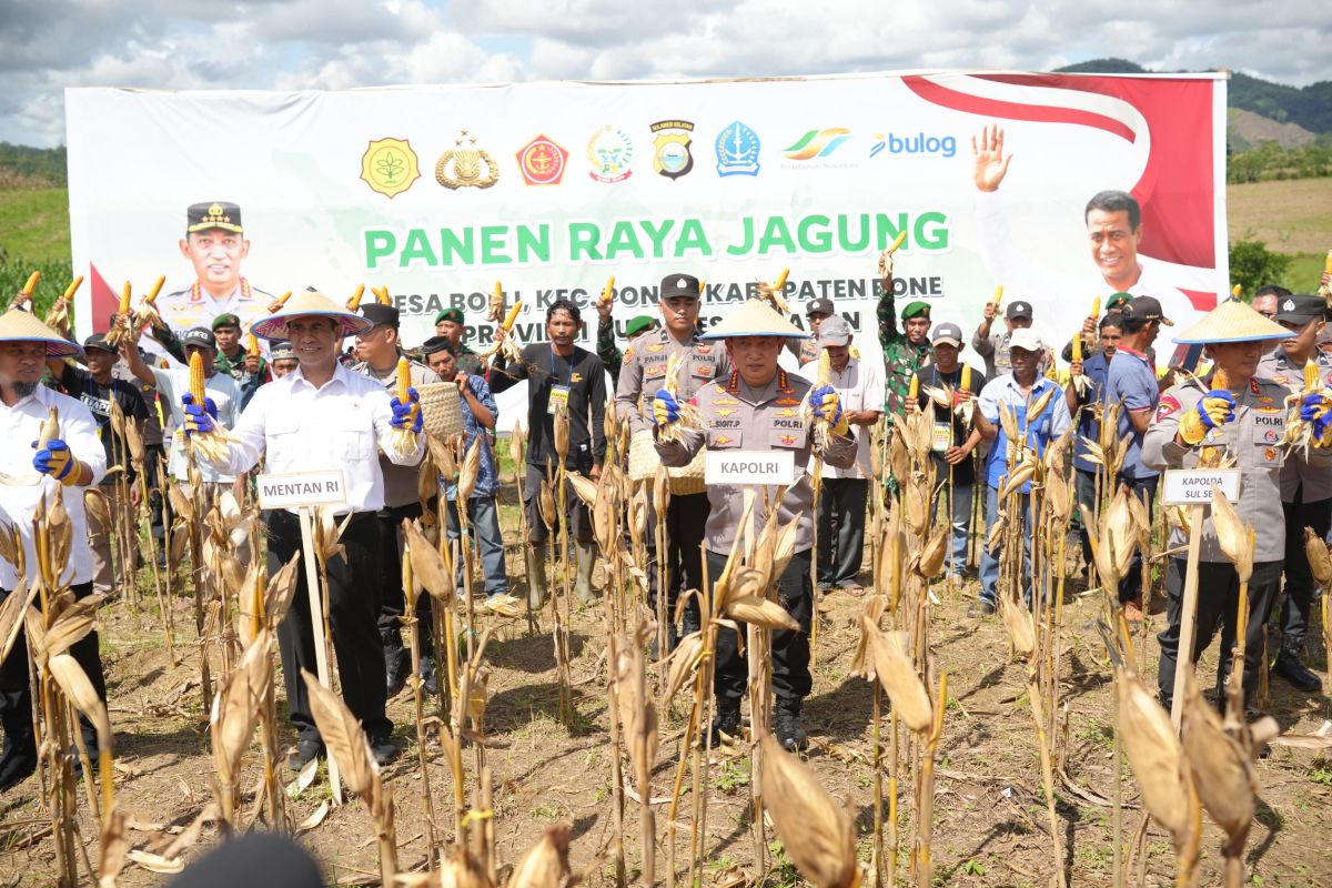 Kapolri-Mentan panen raya jagung di Bone, dukung program ketahanan pangan nasional