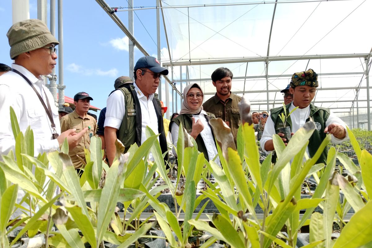 Mandalika Nursery supports eco-friendly economic growth: Minister