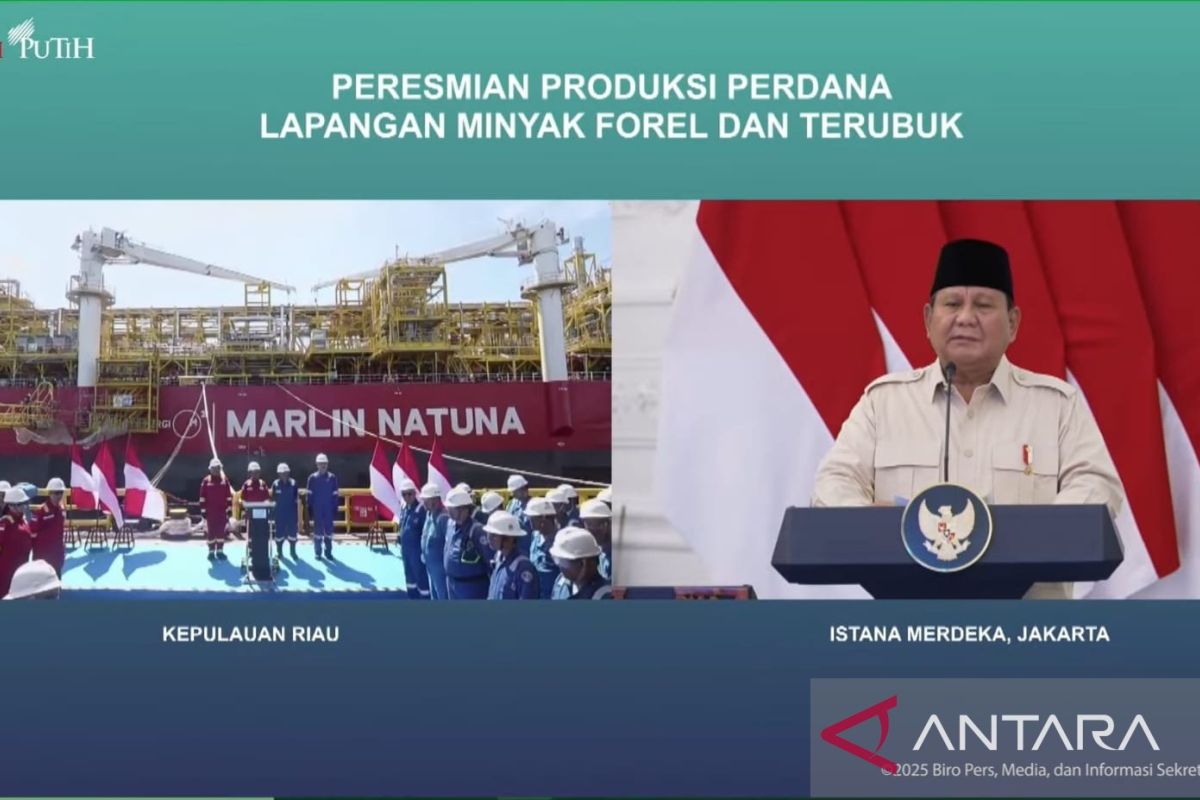Presiden resmikan produksi perdana 2 lapangan migas di Natuna