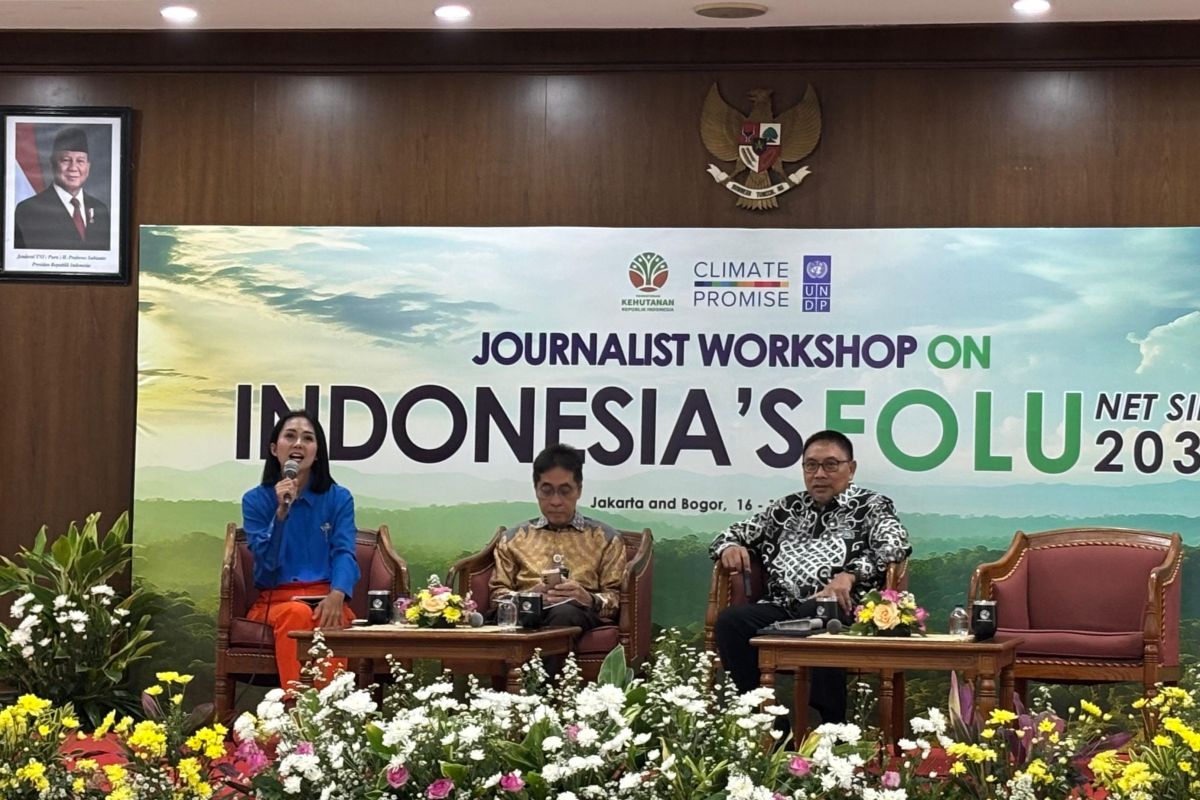 Kemenhut: Pendanaan RI-Norwegia untuk RBC-5 sedang dipersiapkan