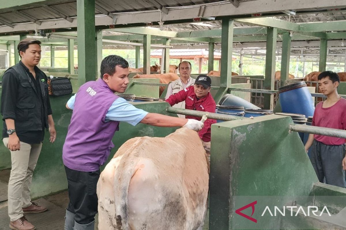 Pemkab Cianjur larang pedagang jajakan hewan kurban di pinggir jalan