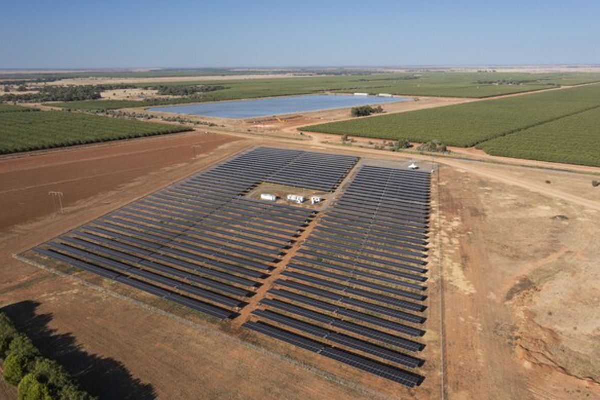 Trinasolar Powers 6MW Agribusiness Solar Project in Australia