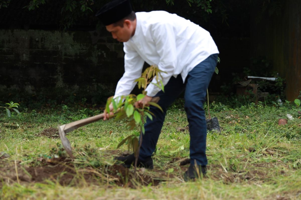 PLN dukung keberlanjutan lingkungan melalui aksi tanam pohon