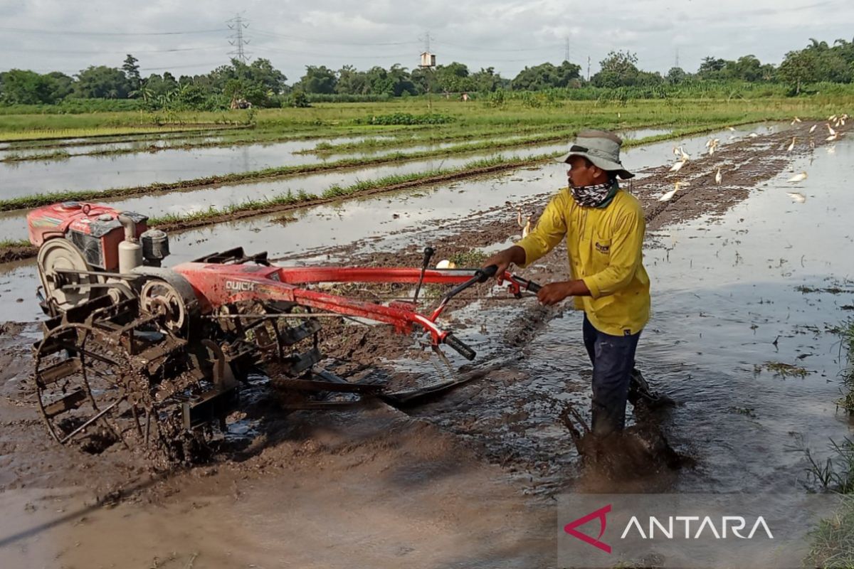 Kelompok tani Bantul terima distribusi alsintan wujudkan program swasembada pangan