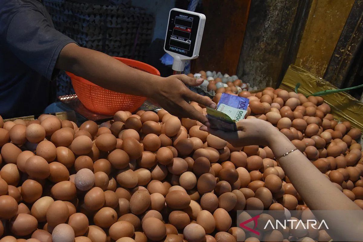 Harga pangan hari ini, telur ayam Rp29.193/kg, bawang merah Rp37.049/kg