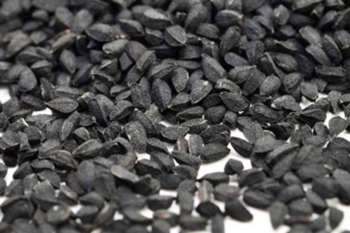 7 Fakta mengejutkan Jintan Hitam turunkan kolesterol