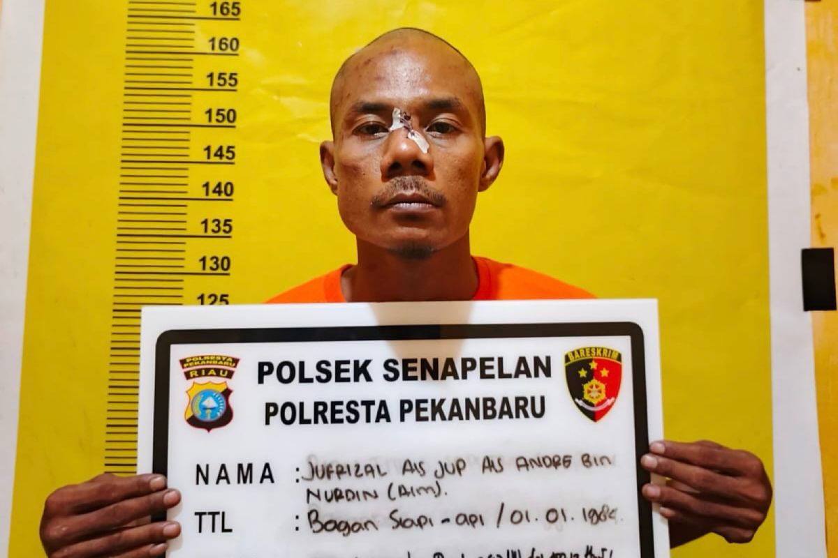 Maling di Pekanbaru tikam polisi saat akan dibekuk