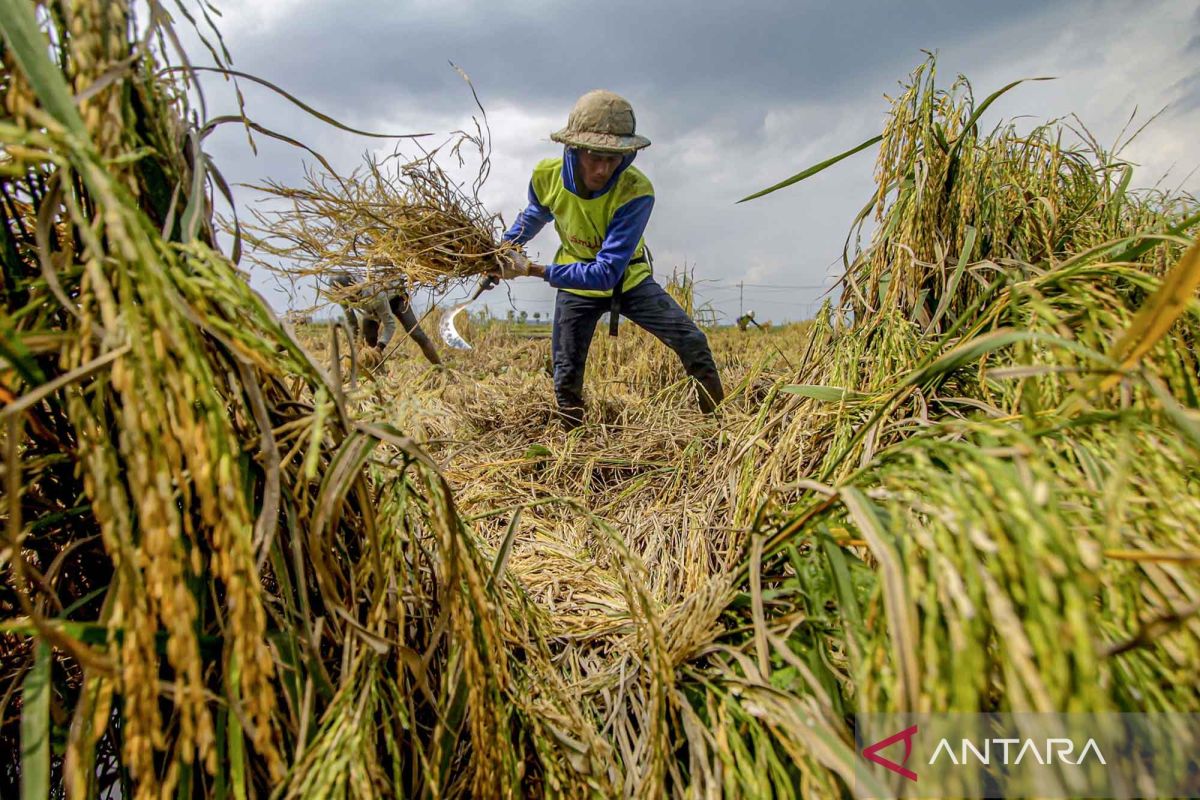 Menjaga ketangguhan ekonomi Indonesia di tengah gejolak global