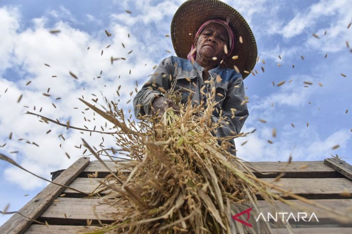 Merayakan kebangkitan nasional pertanian Indonesia