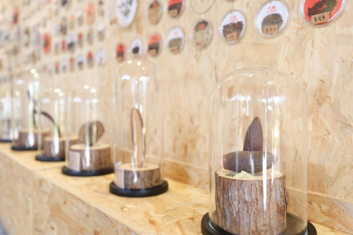 Museum Benih promosikan budaya desa dan pengembangan wisata di Hainan