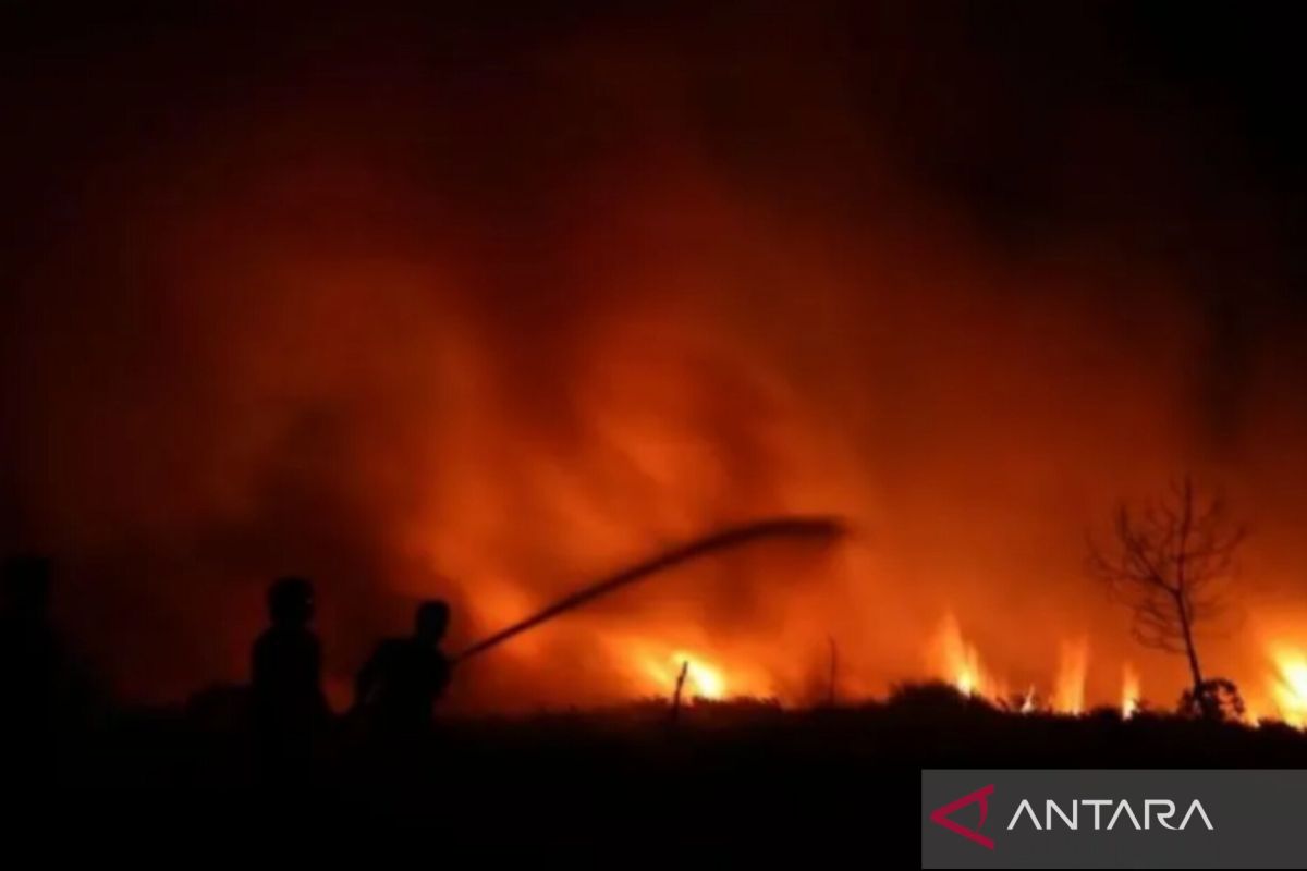 BMKG issues wildfire warning for North Sulawesi