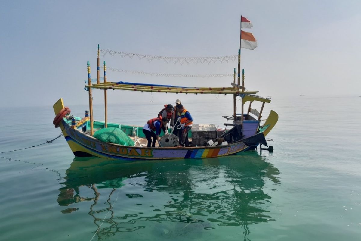 PHE ONWJ rehabilitasi ekosistem terumbu karang