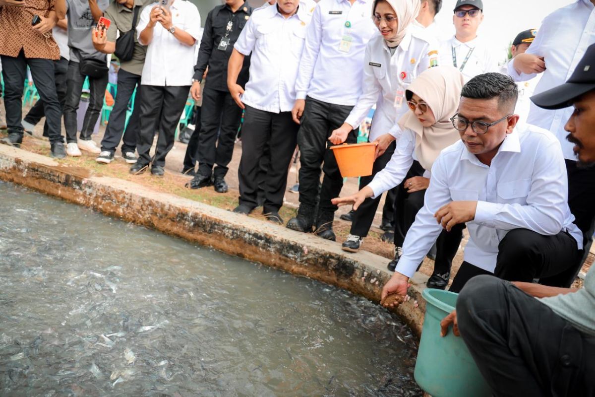 Andra Soni luncurkan program Banten Makmur dari sektor perikanan