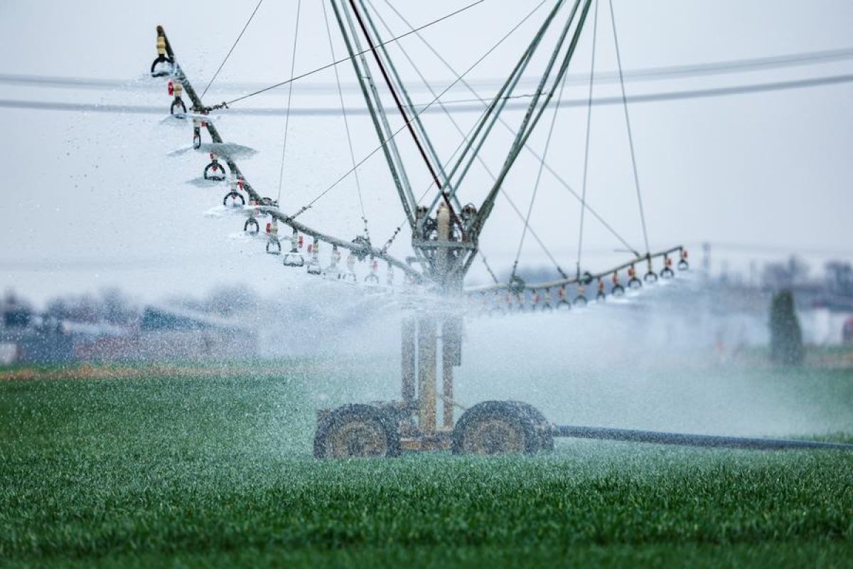 Ilmuwan China rilis data efisiensi penggunaan air di lahan pertanian global