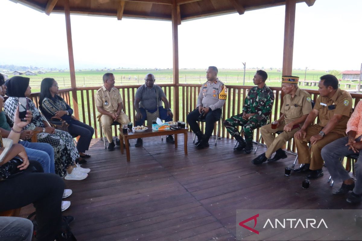 Natalius Pigai dorong beras Lembor menjadi bahan pangan program MBG