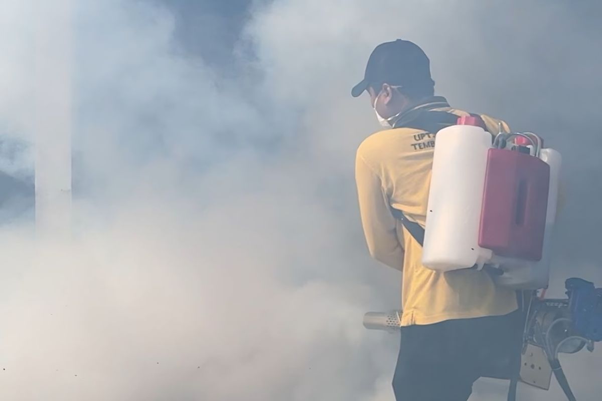DBD meningkat, Dinkes Inhil lakukan fogging