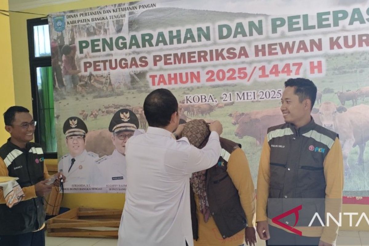 Bangka Tengah siapkan 165 titik pemotongan hewan kurban