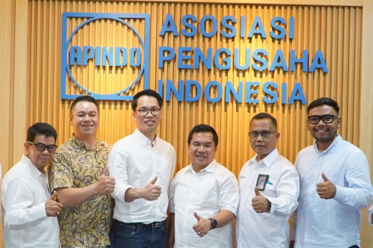 PLN Batam-Apindo perkuat sinergi demi kemajuan sektor energi dan industri