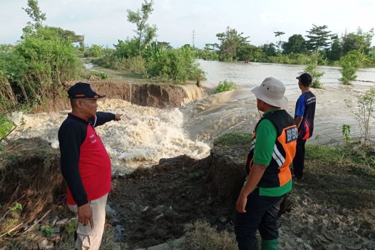 Penanganan tanggul sungai jebol di Demak dikerjakan bertahap