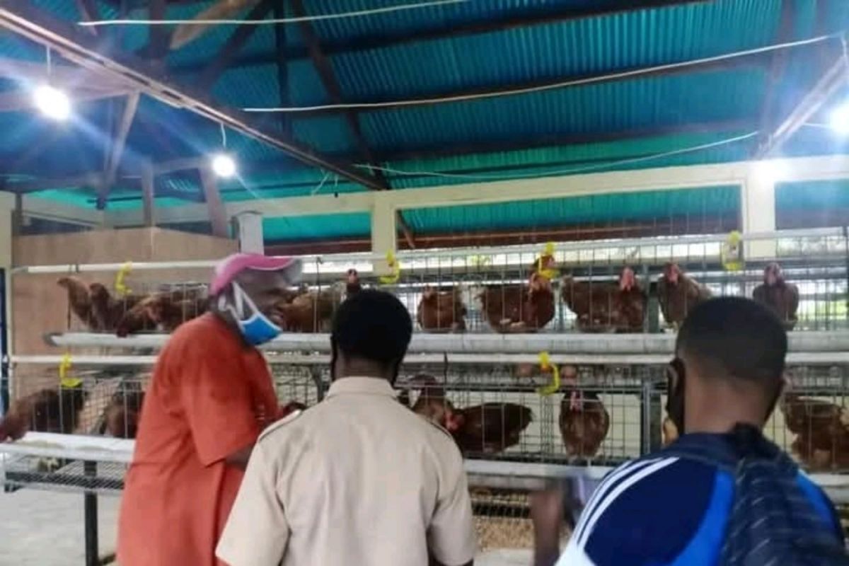 Menyelaraskan pendidikan vokasi dengan kebutuhan dunia kerja di Papua