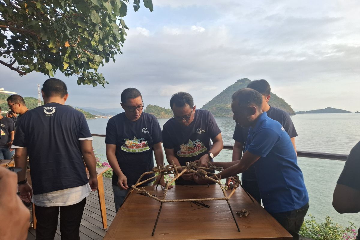 ASDP tanam terumbu karang dukung ekosistem bawah laut Labuan Bajo